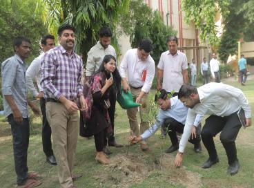 Plantation Drive Undertaken at Directorate of Training, UTCS on 03.07.2025