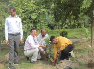 Plantation Drive Undertaken at Directorate of Training, UTCS on 03.07.2025